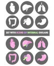 Isolated Icons with internal organs in vector illustration. Royalty Free Stock Photo
